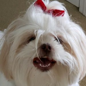 Meet your Posher, Aurora